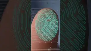 The Fork Theory - Unraveled Crime Part 3 #unsolvedmystery #crimedocumentary #crimeinvestigation
