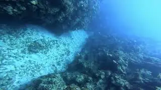 Deb and Chuck in Belize - March 2024 - Dive Composition 1