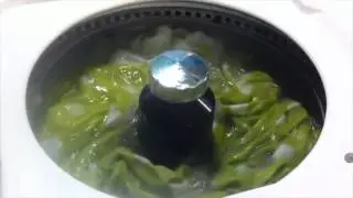 1964 Easy Automatic Washer