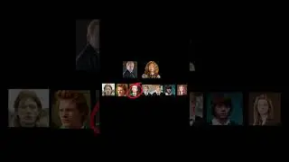 The Weasley family & the Order of the Phoenix