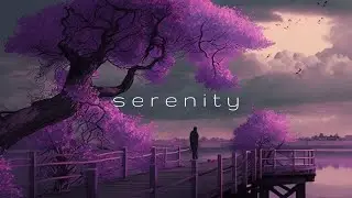 Serenity | Deep Chill Music Mix NetkoDJ
