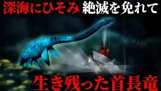 深海潜水艇が目撃した「プレシオサウルス」に似た巨大な未確認生物【ミステリー】