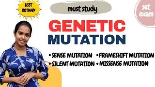 Types of Genetic Mutations: Exam Prep Essentials| HSST & SET Botany 