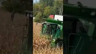 🌾🚜American Farmers Produce Millions Tons Of Corn#Harvestingtechnology #Shorts#Viralvideo#Trading❤️👍