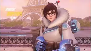 Nerf Mei