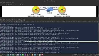 30 - OSPF Deep Dive: Neighbor Adjacency Debug