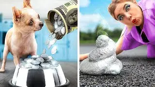 How to Sneak Pets into Your Home!