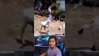 ab karo copy..🤣😂#shorts #funny #ytshorts