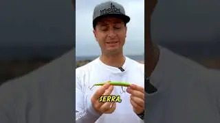 FAI COSI per catturare PIU PESCI a SPINNING #pesca #fishing #spinning