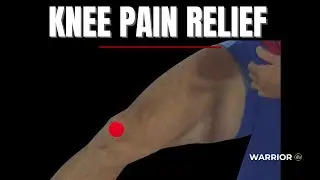 Knee Pain Relief &ndash; Standing Mechanics Reset (60s)