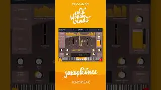 From Mr Sax T to SWAM Tenor Sax v3 - Part 1