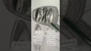 Day 9 of drawing until it reflects Like a Mirror #drawing #asmr #drawmirror #reflection