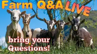 Farm Q&A Live!