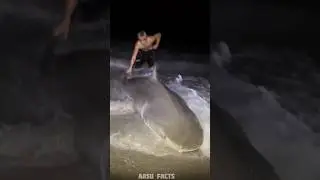 Ocean shark can't be Afraid 💀#shorts