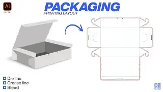 How to Make a Die Line For Fast Food Box Packaging Adobe illustrator in HINDI / हिंदी में