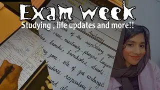 15 Hours study vlog | International Student In Canada | study challenge | study vlog