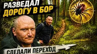 Шикарный бор. Сходил разведать дорогу. Сделали переход через брод.