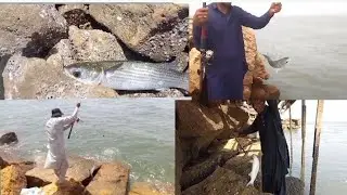  Karachi Fishing Mullet video