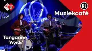 Tangarine - Words | NPO Radio 2