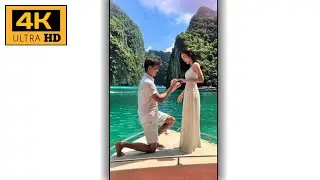 🌹❤Propose Day 4k Whatsapp Status 😘🍁Propose Day Full Screen Status😍🥀