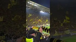 Dortmund's die Gelbe Wand #S&uuml;dtrib&uuml;ne #ucl