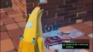 How to get fort byte 69 found within a Brick pig