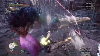 Monster Hunter World Solo Special Arena: HR Pukei-Pukei Freestyle Speedrun World Record !