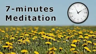 7 minutes meditation with the sounds of nature - afternoon in the meadow