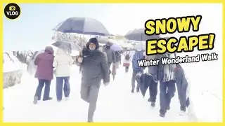 SHIMLA MALL ROAD // BARF ITNI KI HOSH UD JAE #snowfall #shimla #update #tranding 