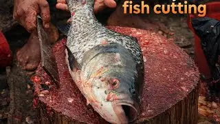 Huge 7lb Katla Fish Cutting 🔪 | Clean & Satisfying ASMR
