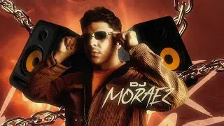 MEGA VAI DESENVOLVENDO - MC LD ( DJ Cleber & DJ Moraez )