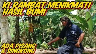 KI RAMBAT TERBARU - MENIKMATI HASIL KEBUN JERIH PAYAH MENGOLAH BUMI, ADA PISANG & SINGKONG