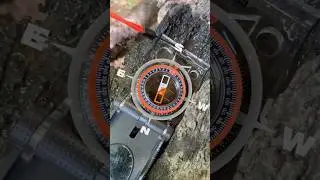 Survival Skills: Make a Compass With a Needle #survival #bushcraft #camping #lifehacks