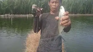Tester lokasi spot panikkang ikan bandeng di kota Makassar @monarmancing5099