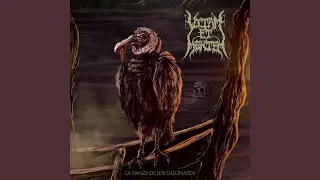 La Danza de los Gallinazos