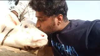 Good morning dosto please subscribe 🙏🙏