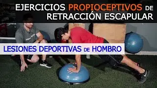 Prueba estos 🤸 Ejercicios Propioceptivos de RETRACCIÓN ESCAPULAR y recupérate de tu lesión de hombro