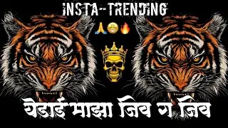 Yedai Maza Jiv G Jiv ❤ येडाई माझा जीव | Yedamai Song | Chandan Kamble New Song | DJ Rushi RK