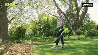 Discover Your Perfect Leaf Blower 50