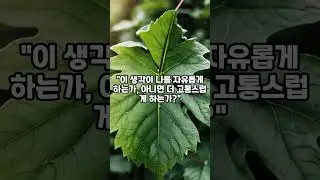1분 깨달음: 칼라마의 지혜 #Buddhism#Zen Wisdom#SpiritualAwakening#Karma#ZenPhilosophy