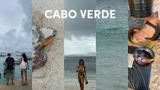 volunteering with turtles in Cape Verte