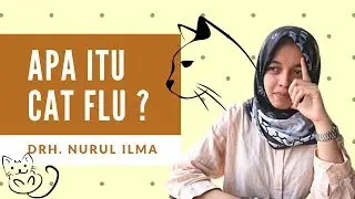 Apa itu Cat Flu atau Flu Kucing ?