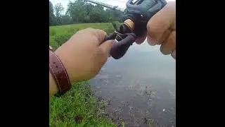Hits and Misses on a Propbait #fishing #bassfishing #largemouthbass #bankfishing #topwater