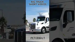 BIG TRUCK SHORT VIDEOS #00894 / PETERBILT #automobile #bigtextrailers #semitrailer