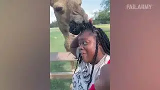 FailArmy! Damn Nature You Crazy Insane Animal Fails