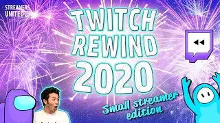Twitch Rewind 2020 | Small Streamer Edition