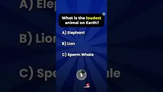 Викторина, которая выявит ваши пробелы в знаниях! 🤯🔍 #гений #мастергайн #невыполнаявикторина