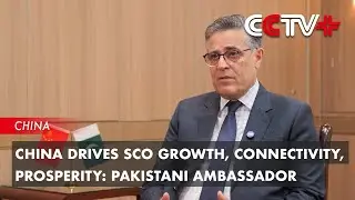 China Drives SCO Growth, Connectivity, Prosperity: Pakistani Ambassador