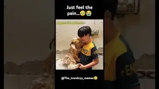 Bakra Eid..Hardest goodbye🥹 Emotional #shorts #trending #viralvideo #youtubeshorts #bakra #emotional