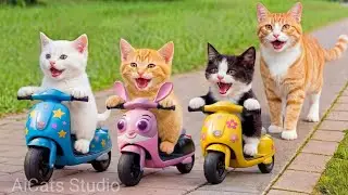 Mama Cat Trims Fur on the Farm and Makes Tiger Hat For Kittens At Home🐾🎩🐯